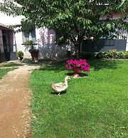 Agriturismo Cascina Madonnina