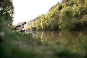 Haus Am Fluss