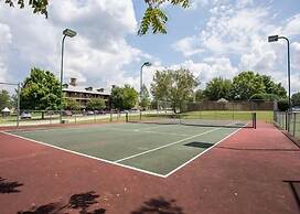 Hollowed Branch Hideaway by RedAwning
