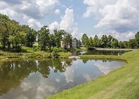 Hollowed Branch Hideaway by RedAwning