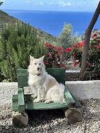 Goknar Knidos Nature Otel - Adults Only