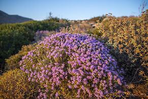 Goknar Knidos Nature Otel - Adults Only