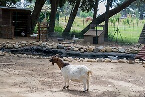 Domaine Mas Bazan