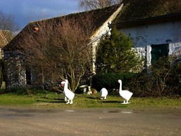 A La Ferme de la Joie