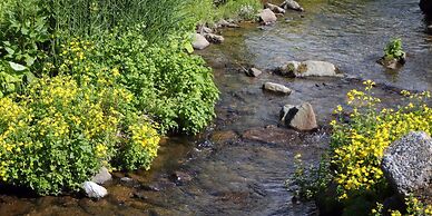 Shigakogen Hotel Ichibokaku