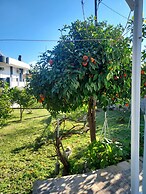 Anastasia's Holiday Home