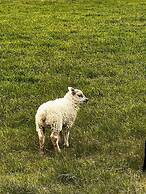 Hotel Skógá by EJ Hotels