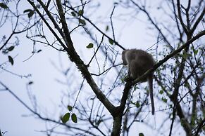 Vythiri Holiday Resorts