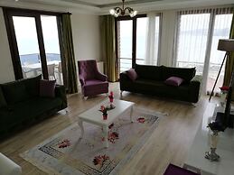 North Pearl Residence