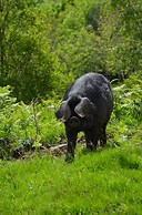 Errichel House and Cottages