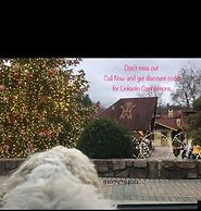 Mountain of Dreams At Lavista Cove