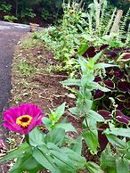 Mountain of Dreams At Lavista Cove