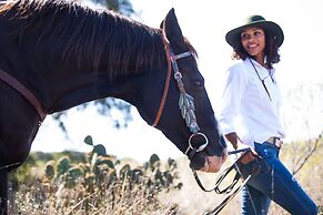 Collective Hill Country Retreat