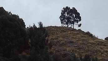 Hostal Piedra Andina