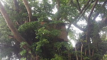 Castle Tree House