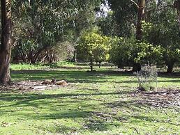 Discovery Parks - Kangaroo Island