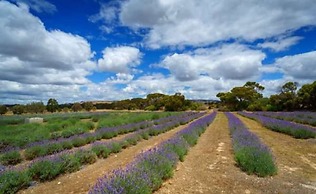 Discovery Parks - Kangaroo Island