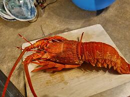 Kaikoura Quality Suites