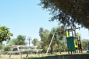 Agriturismo Terra D'Ulivi