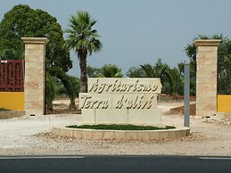Agriturismo Terra D'Ulivi