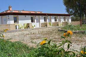 Agriturismo Terra D'Ulivi