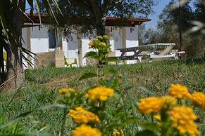 Agriturismo Terra D'Ulivi