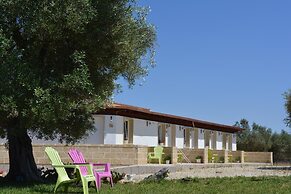 Agriturismo Terra D'Ulivi
