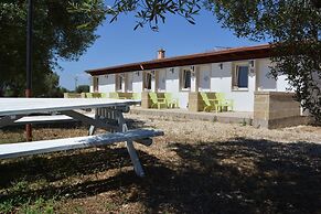 Agriturismo Terra D'Ulivi