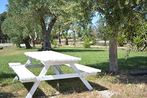 Agriturismo Terra D'Ulivi