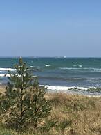 Gasthaus & Pension Zur Schaabe