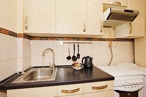 LUXKV Apartment on Nikoloyamskiy