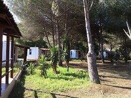 Sa Pintadera Residence