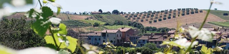 Agriturismo la Valle di Ceri