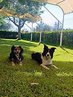 Agriturismo Il Piccolo Lago