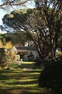 Les Pins de Santa Giulia