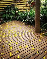 Quinta do Moçambique