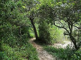 Quinta do Moçambique