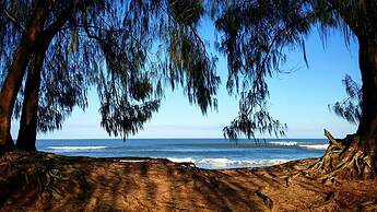 Quinta do Moçambique