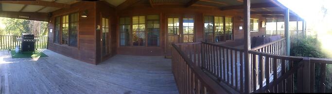 Blackwattle at Barrington Tops