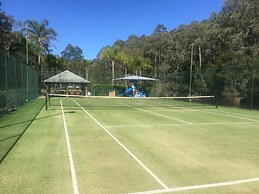 Blackwattle at Barrington Tops