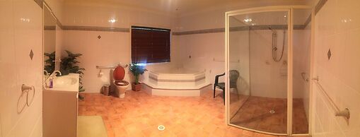 Blackwattle at Barrington Tops