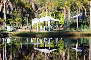 Blackwattle at Barrington Tops