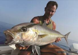 Barefoot at Havelock