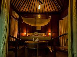 Barefoot at Havelock