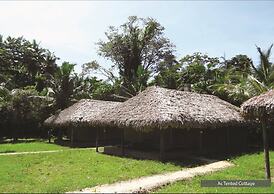 Barefoot at Havelock