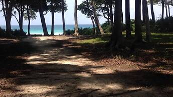 Barefoot at Havelock