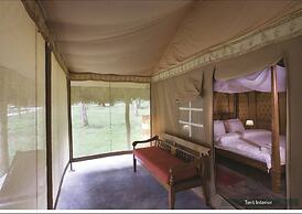 Barefoot at Havelock