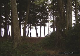 Barefoot at Havelock