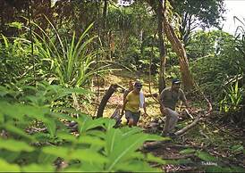Barefoot at Havelock