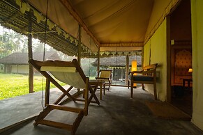 Barefoot at Havelock